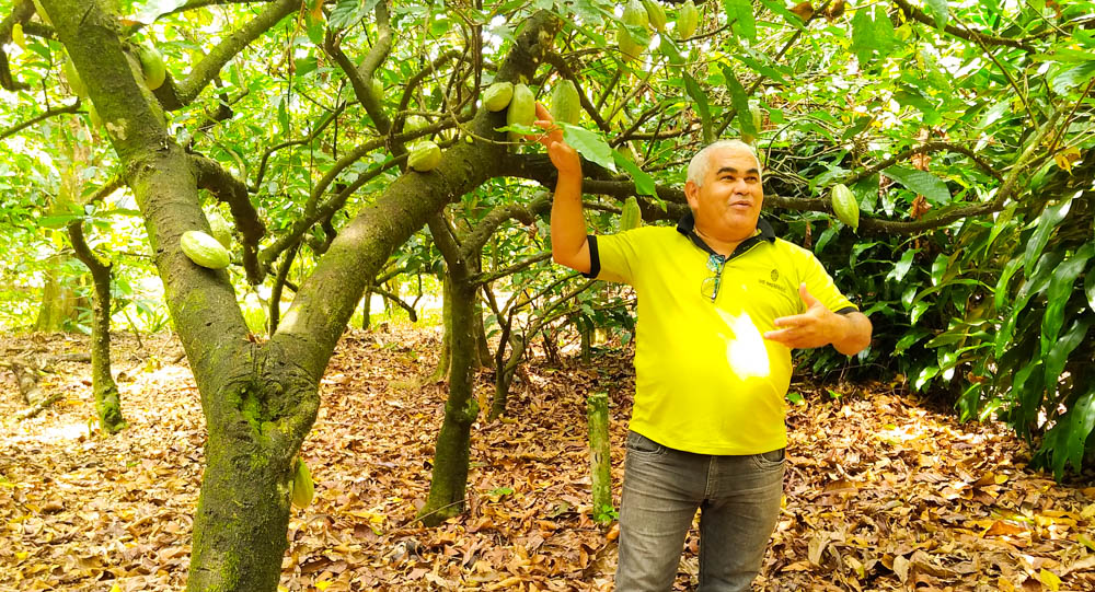 César De Mendes