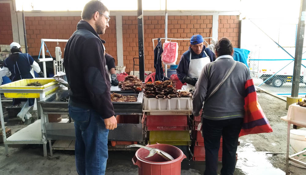 ceviche de Arequipa